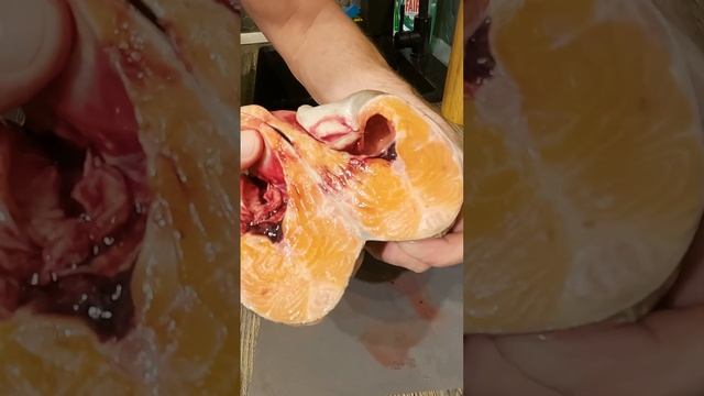 Самодельная красная икра в домашних условиях #shorts смотреть онлайн