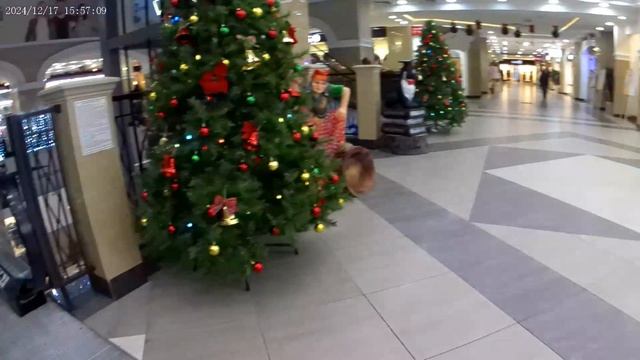 (33) В ТЦ Пассаж на новый год.mp4
