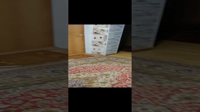 Борьба 🙏