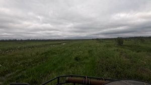 "ЭКСПЕДИЦИЯ НА РОСОМАХАХ"  1серия