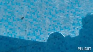 Как слабым песочным фильтром, насосом почистить воду в бассейне скиммером или водяным пылесосом.