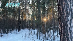 ASMR🌲В ЗИМНЕМ ЛЕСУ❄️ ХРУСТ СНЕГА🌨️ УСЫПЛЯЮЩАЯ ПРОГУЛКА🌿ТИХИЙ ГОЛОС/ С РОЖДЕСТВОМ!