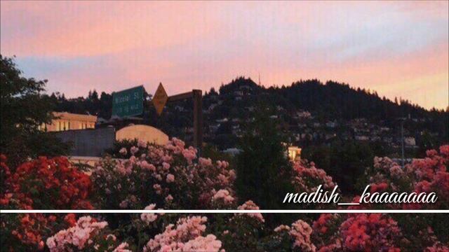 Рамзан Абумуслимов - 1аьржа б1аргаш хаза ду (New 2017) смотреть онлайн