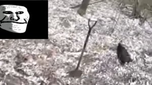 умер Бобка 💔😔...