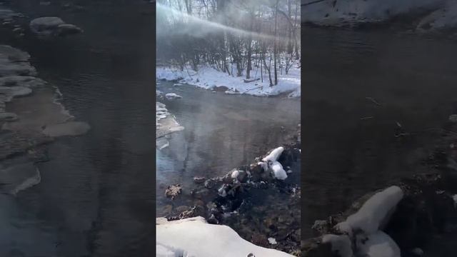Шашлык на природе #шашлык #шашлыкизиндейки #шашлыки #кухня #кухнянапироде #еда #обед #ужин #завтрак