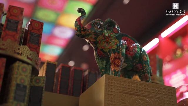 The Spa Ceylon Launch! смотреть онлайн