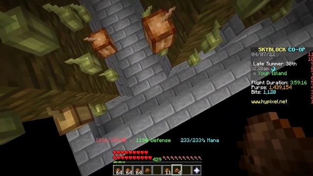 How to build a Cocoa Bean Farm in HyPixel Skyblock - Step-By-Step Guide смотреть онлайн