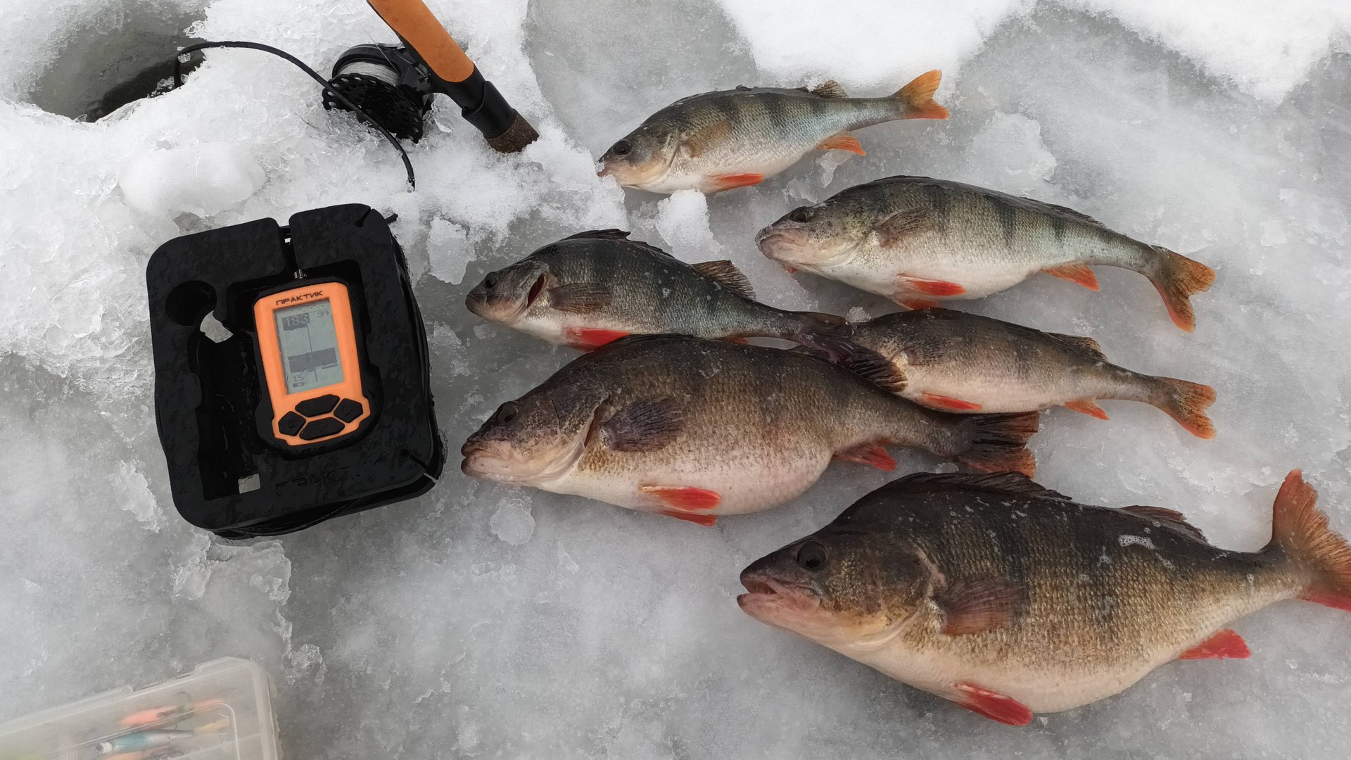 ВОТ ТАК ПОВЕЗЛО !!! ДОЖДЬ В ЯНВАРЕ. ЗДОРОВЫЕ ОКУНИ-КОНИ НА БАЛАНСИР ЛАКИ ДЖОН смотреть онлайн