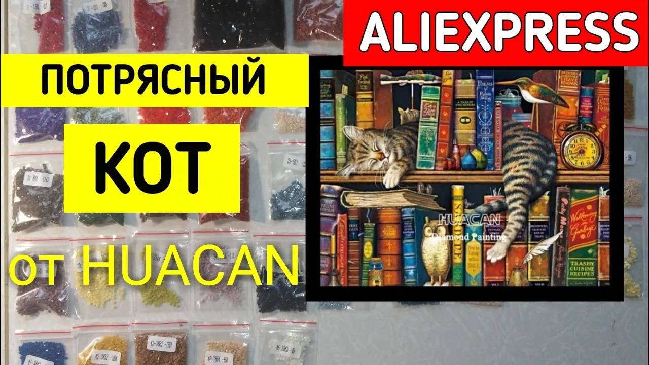 Потрясающий КОТ на КНИГАХ от Huacan _ Алмазная Мозаика __ Elena Pero