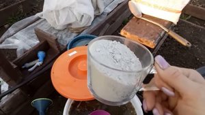 ВАЖНАЯ ПОДКОРМКА ДЛЯ МОЩНОГО РАЗВИТИЯ ЧЕСНОКА! ЛИСТЬЯ БЕЗ ЖЕЛТИЗНЫ, КРЕПКИЕ И ЗДОРОВЫЕ!