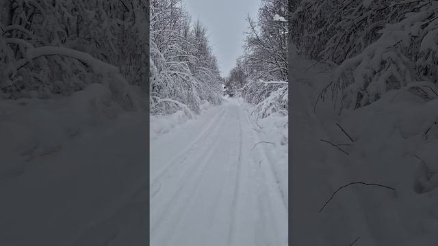 Снежный Архангельск!