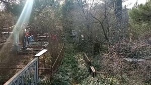 Диагностика кармы 24. Очистка геопатогенных зон, кладбищ. Karma diagnostic 24. Neutralise cementry.