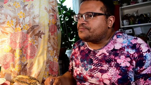 #mukbang Грибы второе мясо Mukbang Mushrooms are the second meat смотреть онлайн