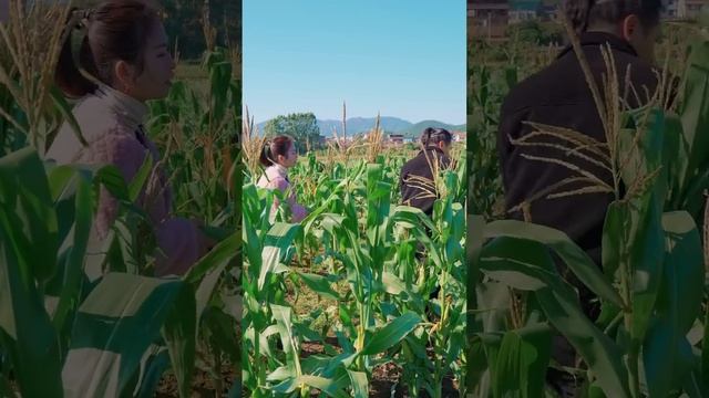 婆婆怕忘記媳婦的喜好，把它們全記在小本子上，不料被媳婦發現感動到落淚！【贞贞的英雄】 смотреть онлайн