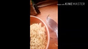 Повар Джордж 5 серия как готовить доширак