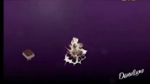 Danone Данiссiмо реклама Данон Даниссимо