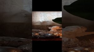 Таро.Кто о вас часто вспоминает.