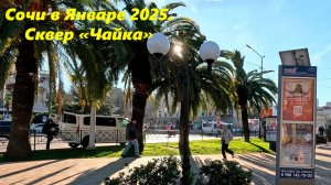 Сочи в январе 2025. У вокзала, сквер  "Чайка"