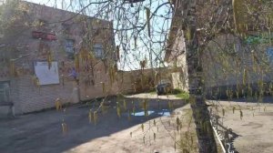 Кривячка-Пыщуг и обратно. За полтора часа.