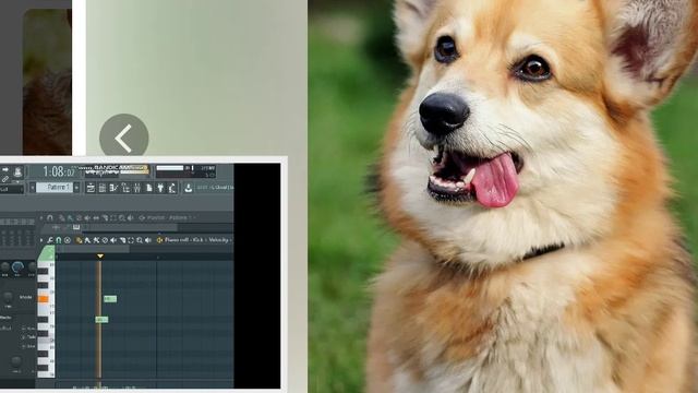DJ АНАТОЛИЙ ЛЮБЛЮ СОБАК ПРЕМЬЕРА КЛИПА 2025