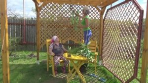 6 соток 11 мая 2020 год. Дачная жизнь как она есть! Ожидаем заморозки до -9