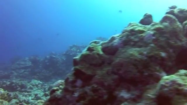 15 Days Bora Bora Cruise смотреть онлайн