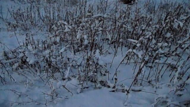 FloridaYalta новости про суд с банком смотреть онлайн