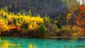 Гар гамн дори ХУДОРО ЁД КУН БИГЗАРАД