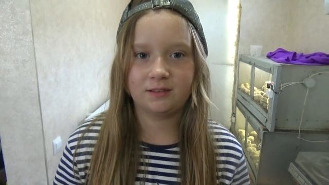 Кулинарный ВЛОГ Обалденная картошка с уткой Делаем заготовки котлет на завтра