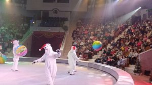 цирк-4 клоун жонглёр мячи