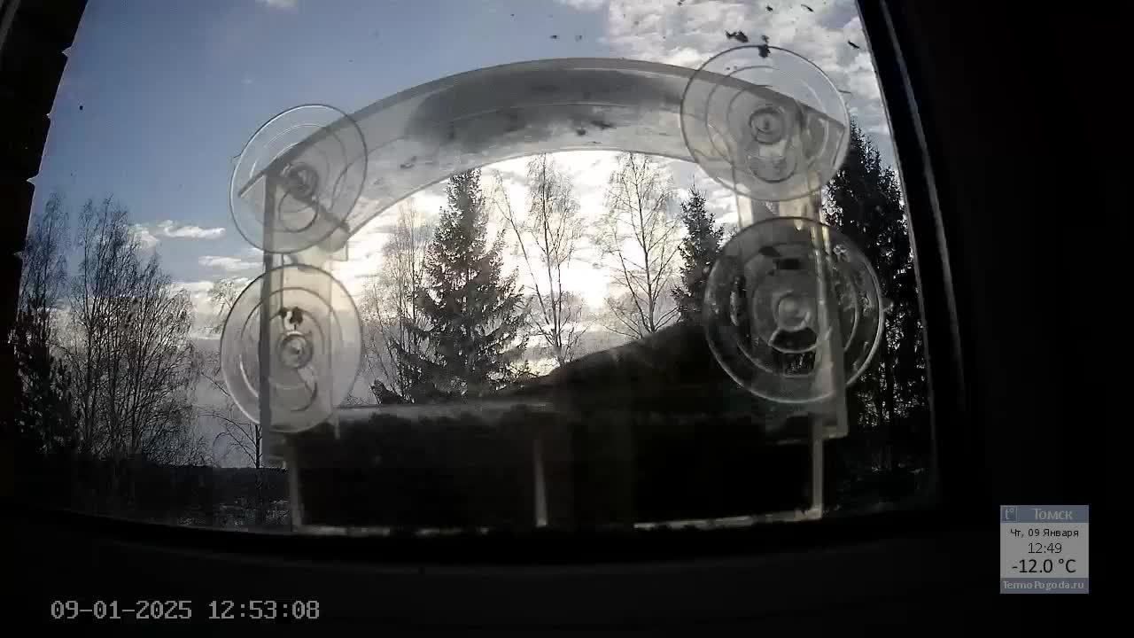 Кормушечка 09.01.25