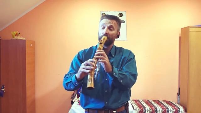 музыкант и коллекционер музыкальных инструментов -  Олег Переверзев_1
