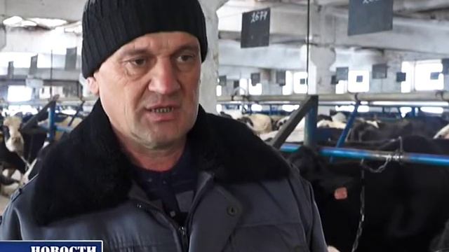 МТФ "Нурис" смотреть онлайн