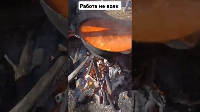 Работа не волк #квадропокатушки #trending #offroad