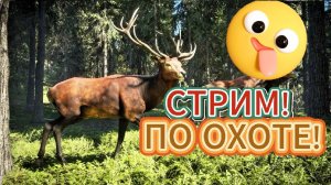 theHunter ОХОТИМСЯ В ЛЕСУ!