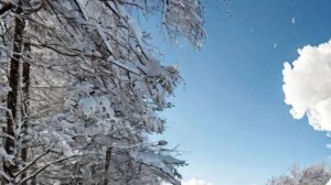 Жизненные истории "Минутное заблуждение" Истории из жизни реальных людей