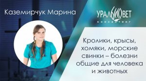 Кролики, крысы, хомяки, морские свинки – болезни общие для человека и животных. Марина Каземирчук