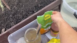 ЭТИ ПОДКОРМКИ все ИСПРАВЯТ! ТОМАТЫ будут КРУПНЫМИ и СЛАДКИМИ!