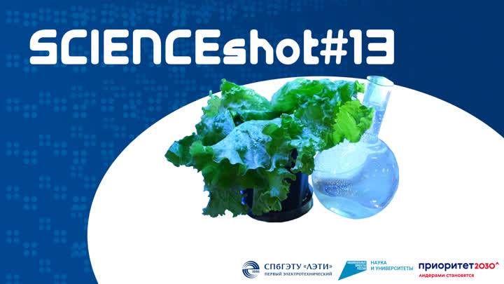 SCIENCEshot13. Салат