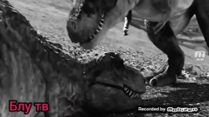 Клип Тарбозавр баю (заказной)