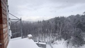 г. Светлогорск, ЖК Гармония