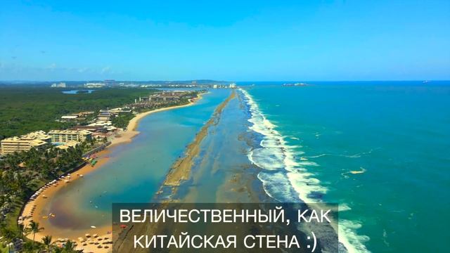 Самый большой природный бассейн в Латинской Америке. Пляж Muro Alto #бразилия #иммиграция #роды