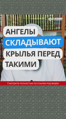 Ангелы складывают крылья перед такими