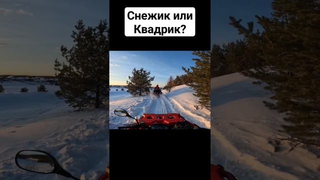 Что выберешь ты? #trending #shorts #tiktok