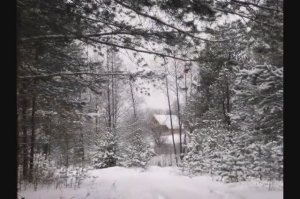 Новый год в деревне_