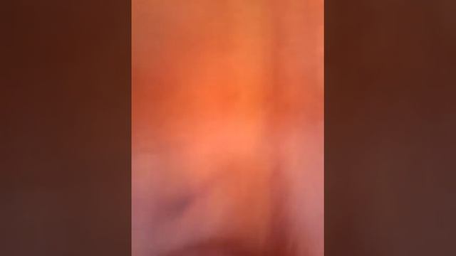 Мои покупки в зоомагазине часть2 смотреть онлайн