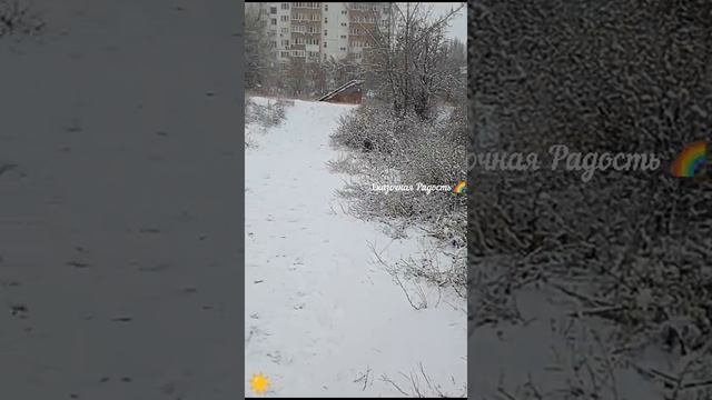 В Саратове снег ❄️12.12.24 Солнечный