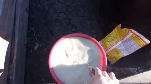 Ваш ПЕРЕЦ сойдёт с ума от этой подкормки в июне июле! Чем подкормить перец для хорошего урожая?