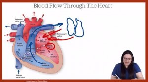 BLOOD FLOW THROUGH THE HEART | CARDIOVASCULAR NCLEX AND NURSING EXAM LIKE A BOSS SERIES