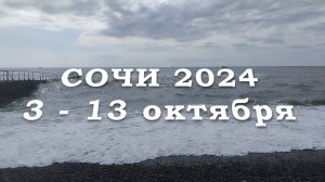 Сочи 2024 октябрь